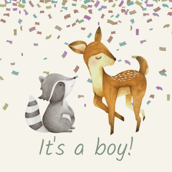 Wenskaart it's a boy! Hert en wasbeer met confetti