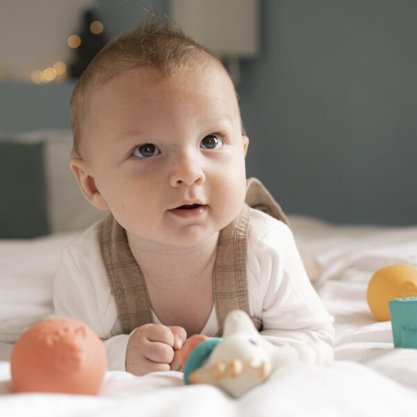 Sophie de giraf - gift set