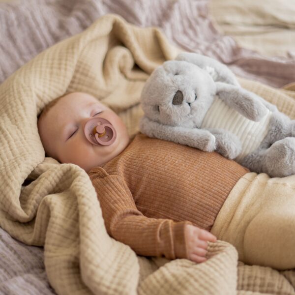 Milo (grijs) - oplaadbare hartslagknuffel