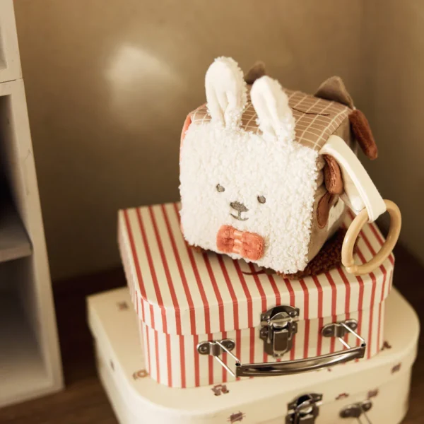 Activiteitenkubus - animal friends