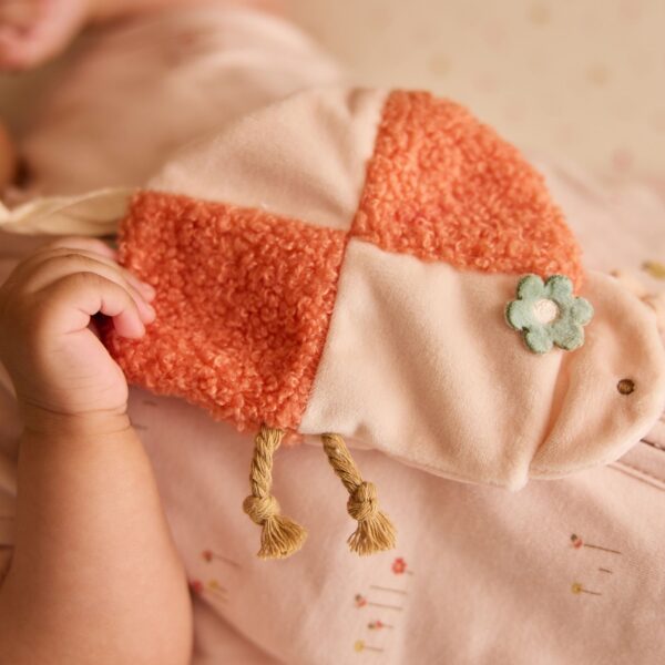 Speendoekje - pretty picnic ladybug