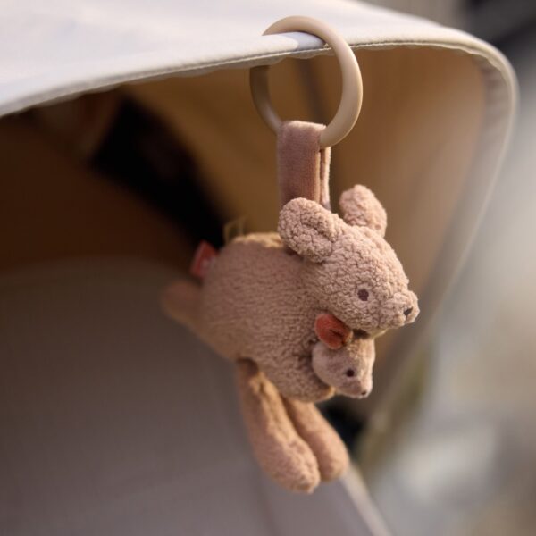 Wagenhanger - kangaroots