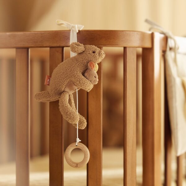 Muziekhanger - kangaroots